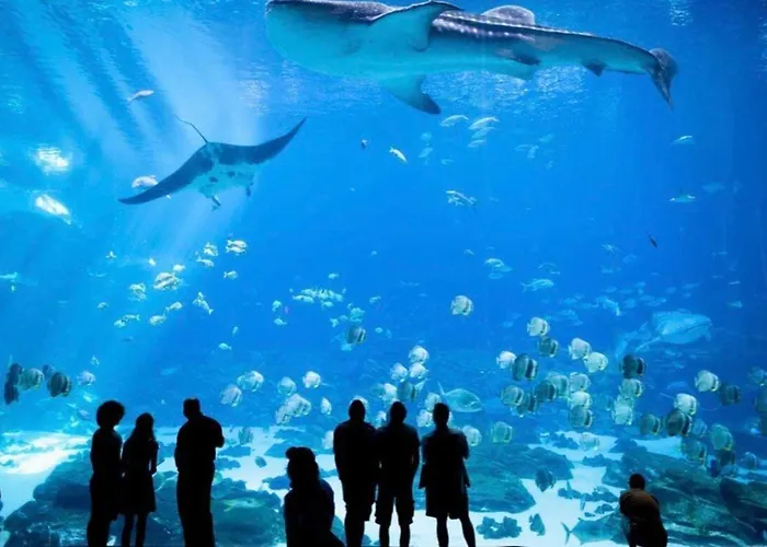 Апартаменты Another Brick In Kalego Кале