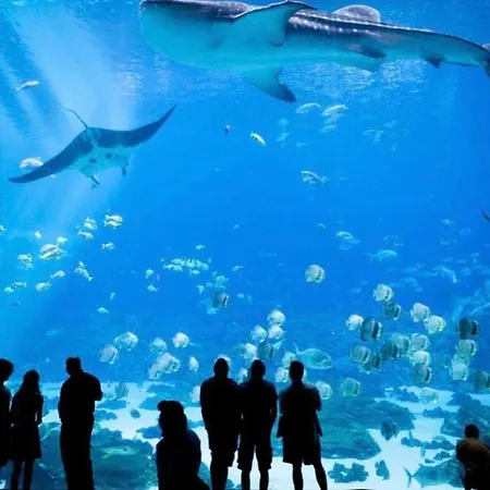 Appartement Another Brick In Kalego Calais